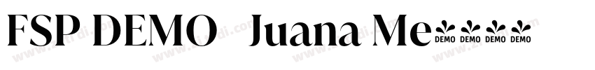 FSP DEMO   Juana Me字体转换
